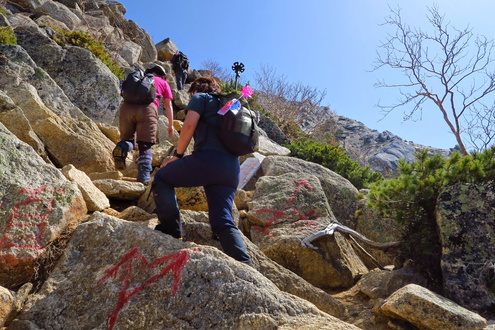 甲斐駒山頂直登コース