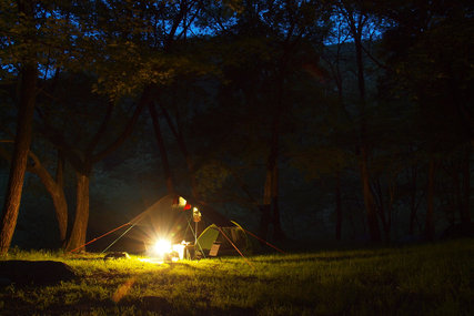 白州観光尾白キャンプ場の夜景