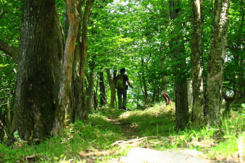 夕日岳山頂付近