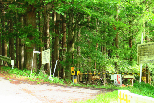 古峯神社からの林道