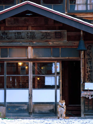 日光澤温泉とサンボ